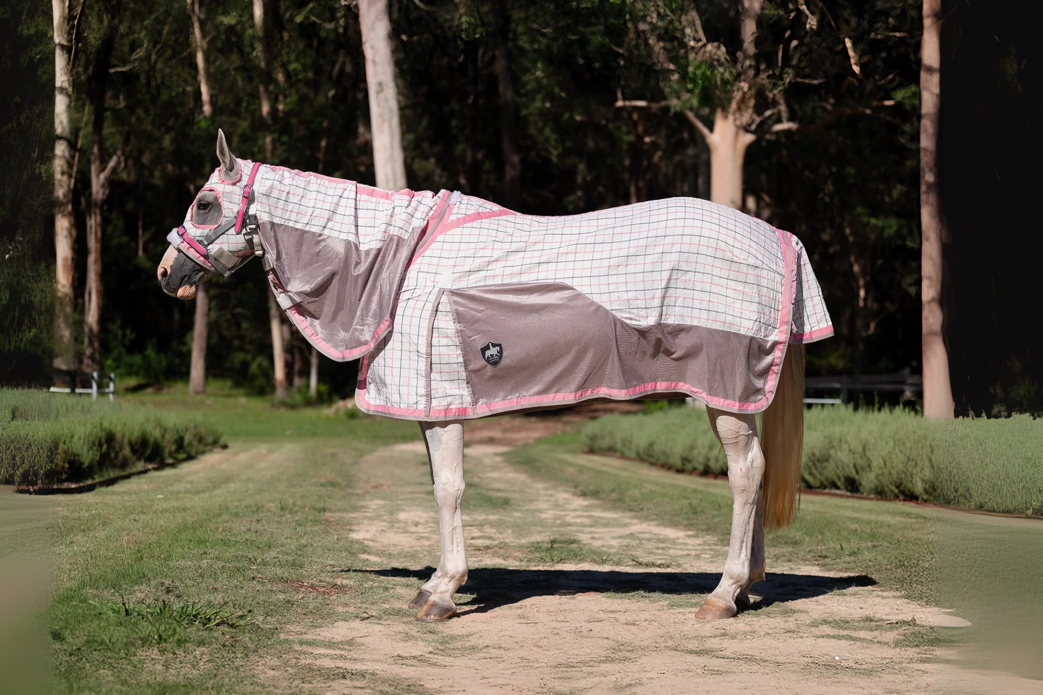 Australia vs New Zealand Horse Rug Sizing