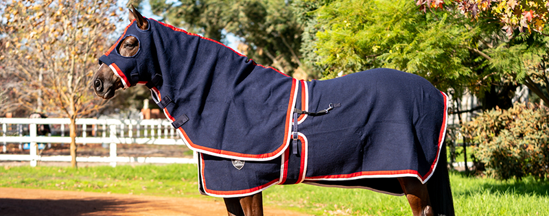 A horse standing in a paddock wearing a navy woollen rug and hood