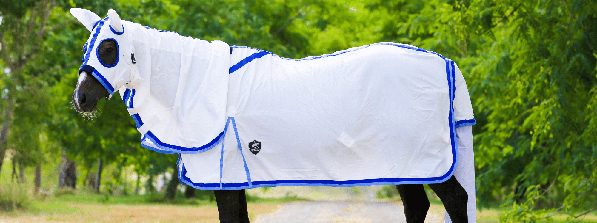 How to Put on a Horse's or Pony's Rug: 9 Steps (with Pictures)