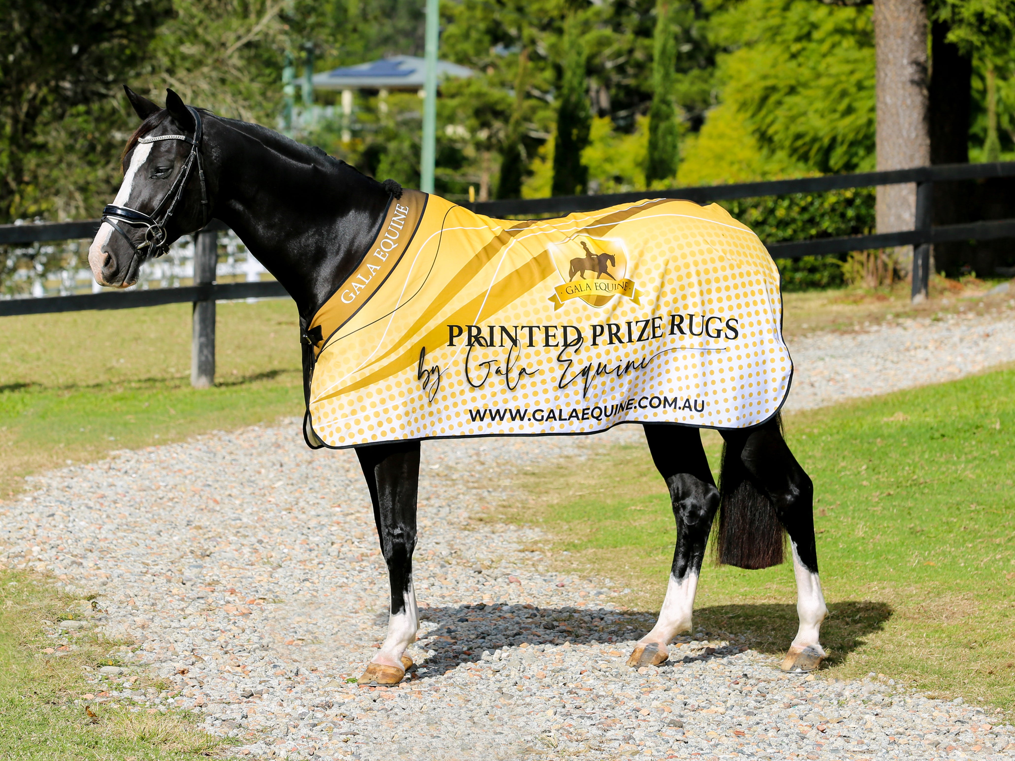 Printed Prize Rug