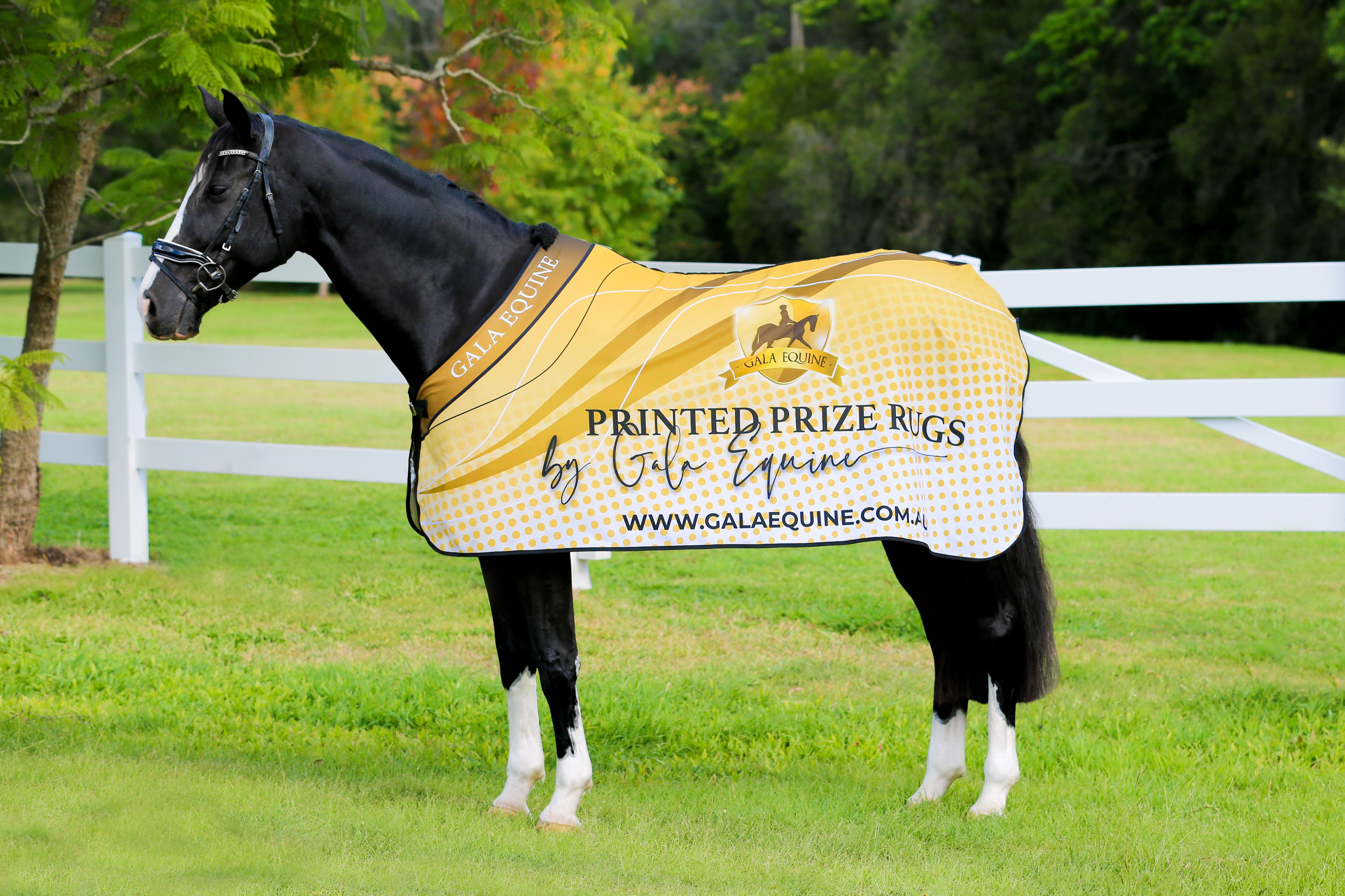 Printed Prize Rug