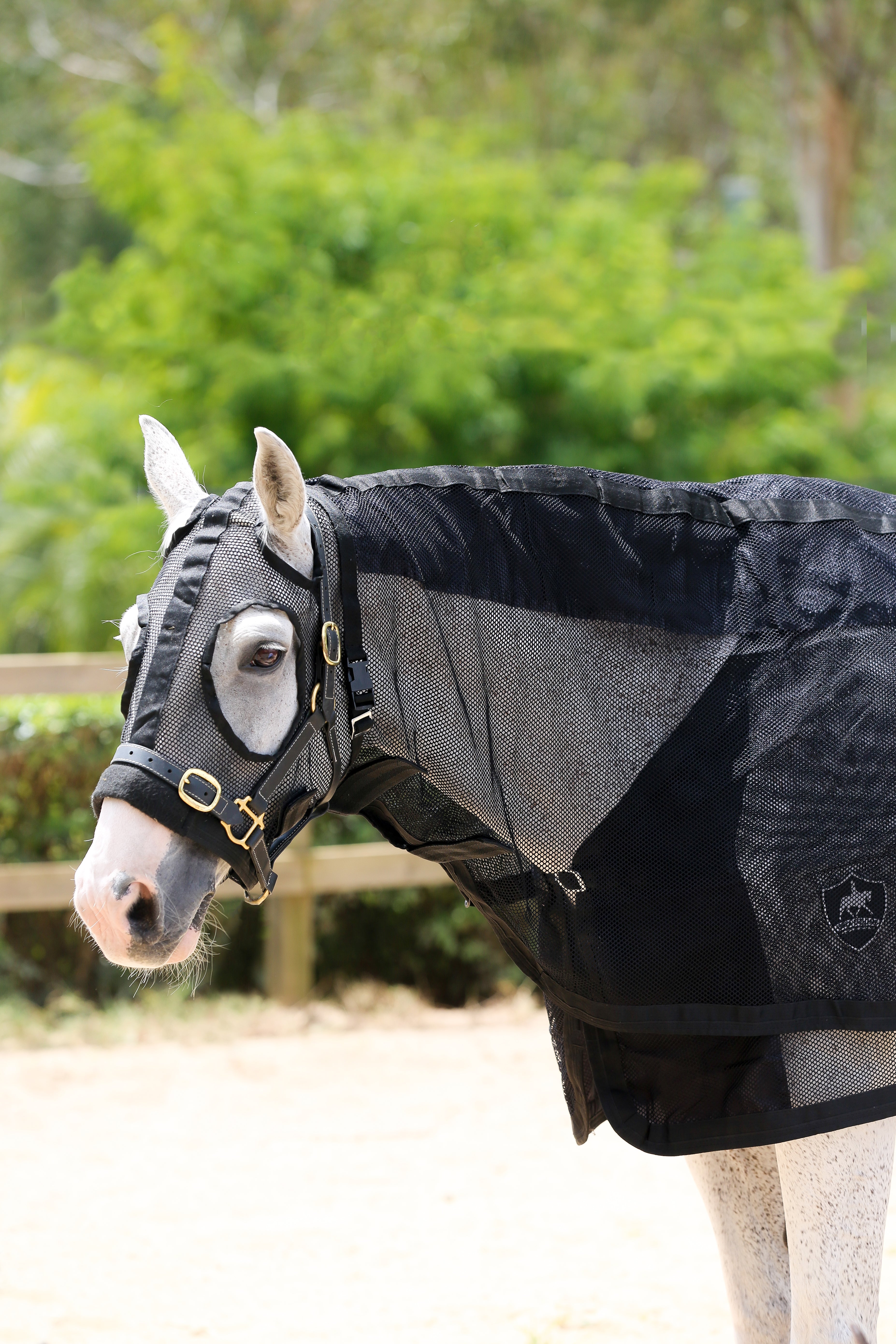 Summer Mesh Hood Set - Black