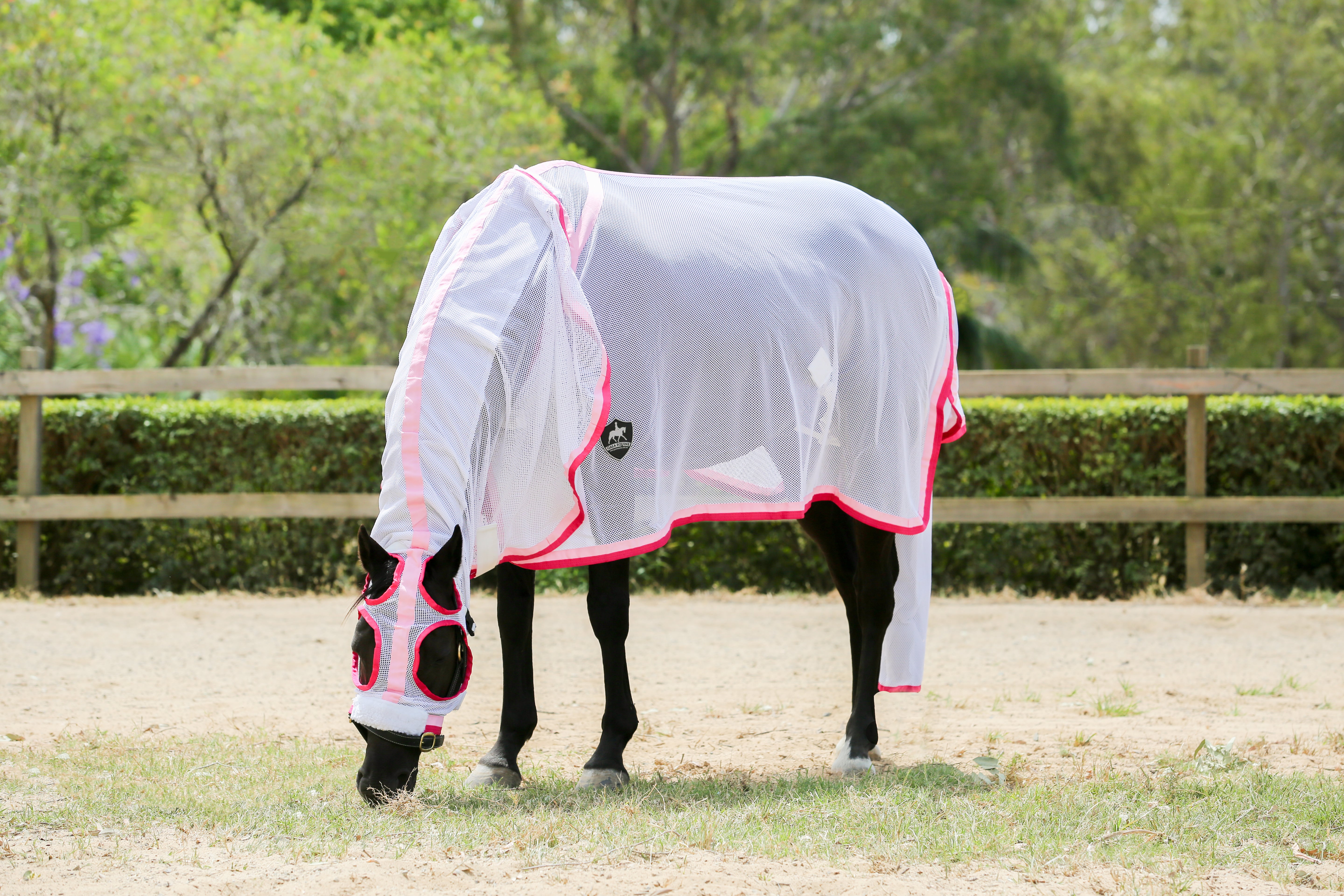 Summer Mesh Hood Combo - White with Pink Trims - CLEARANCE $45 - 7'0 left