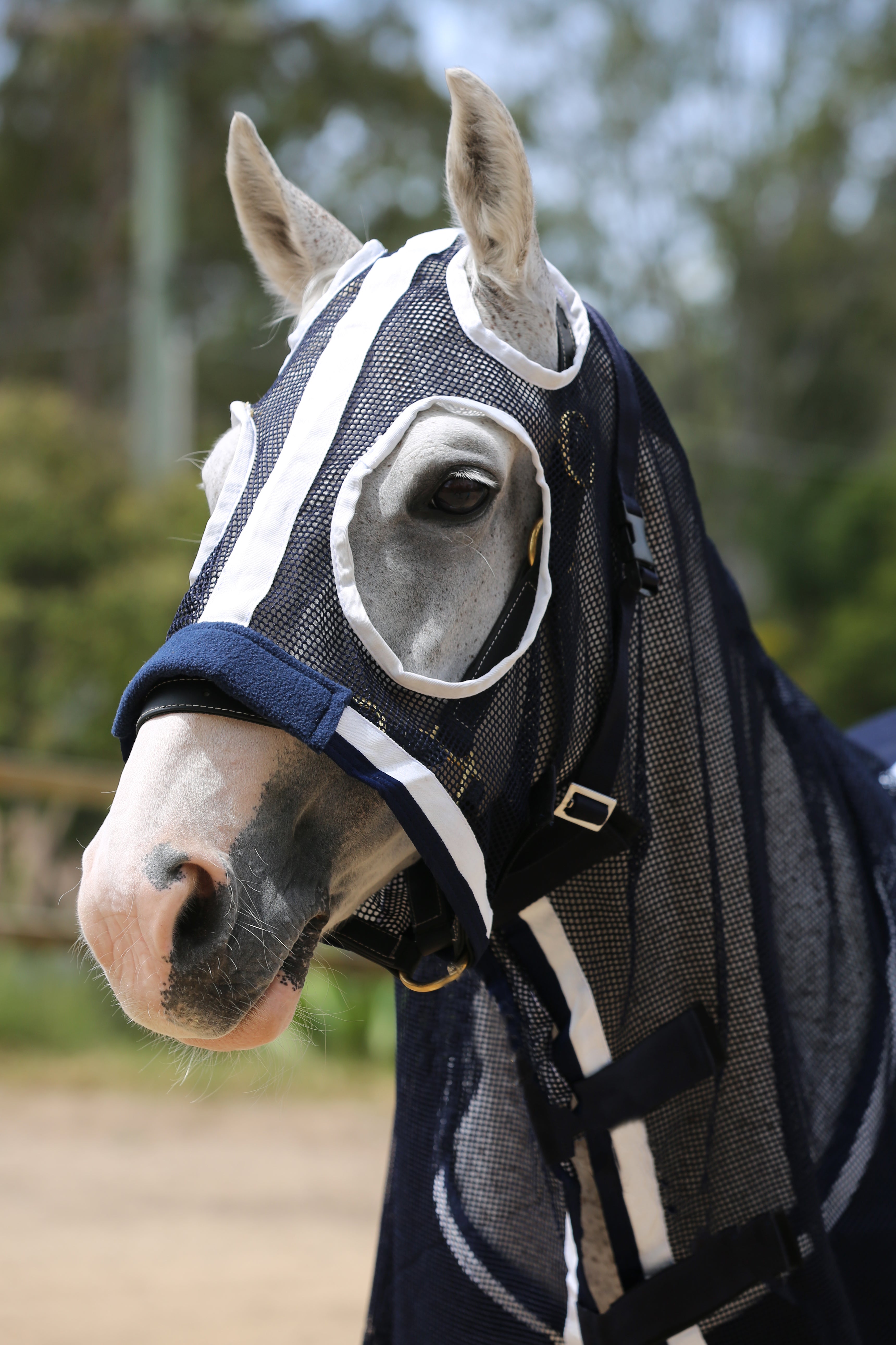 Summer Mesh Hood Set - Navy - CLEARANCE  - LAST SIZES