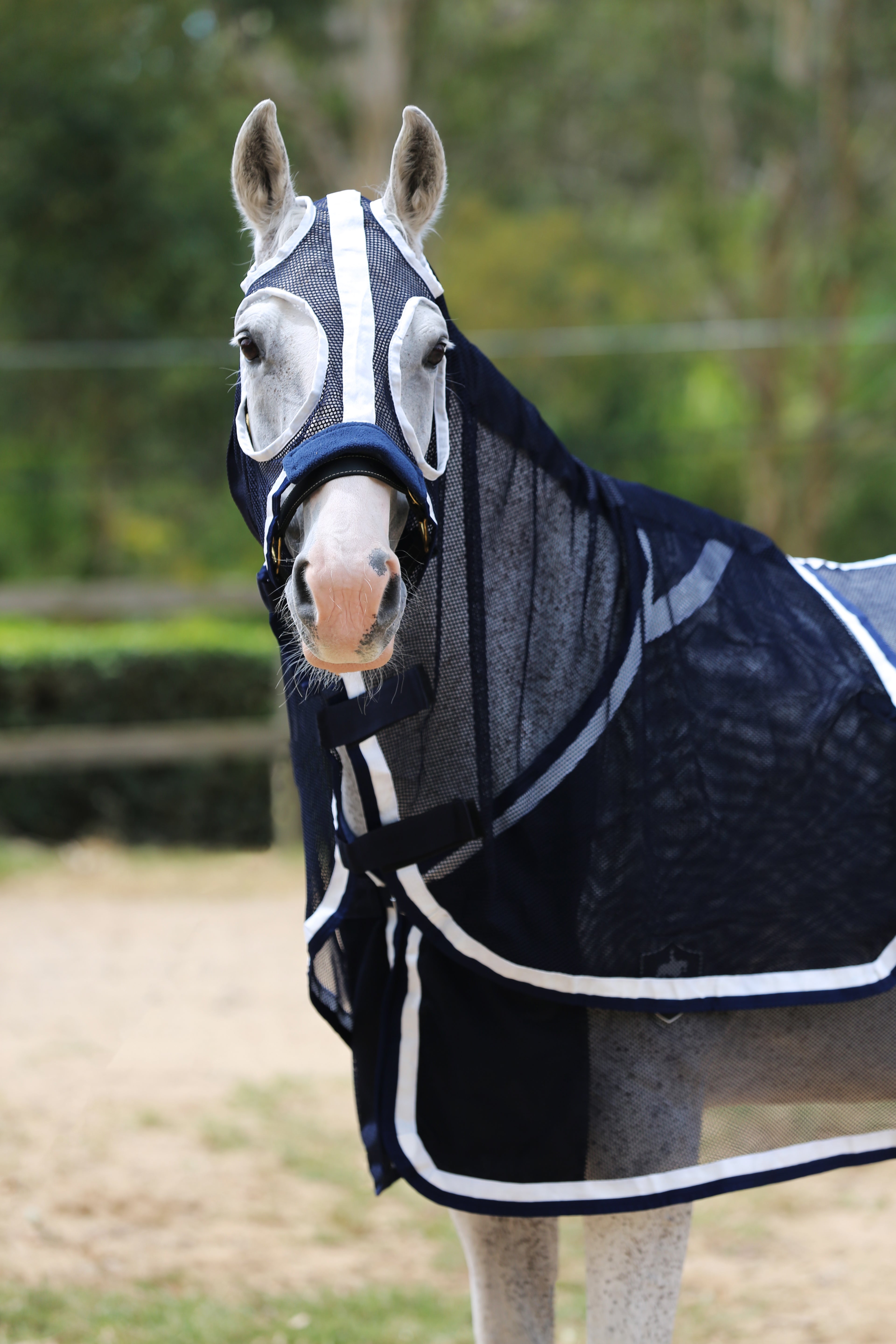 Summer Mesh Hood Set - Navy - CLEARANCE  - LAST SIZES