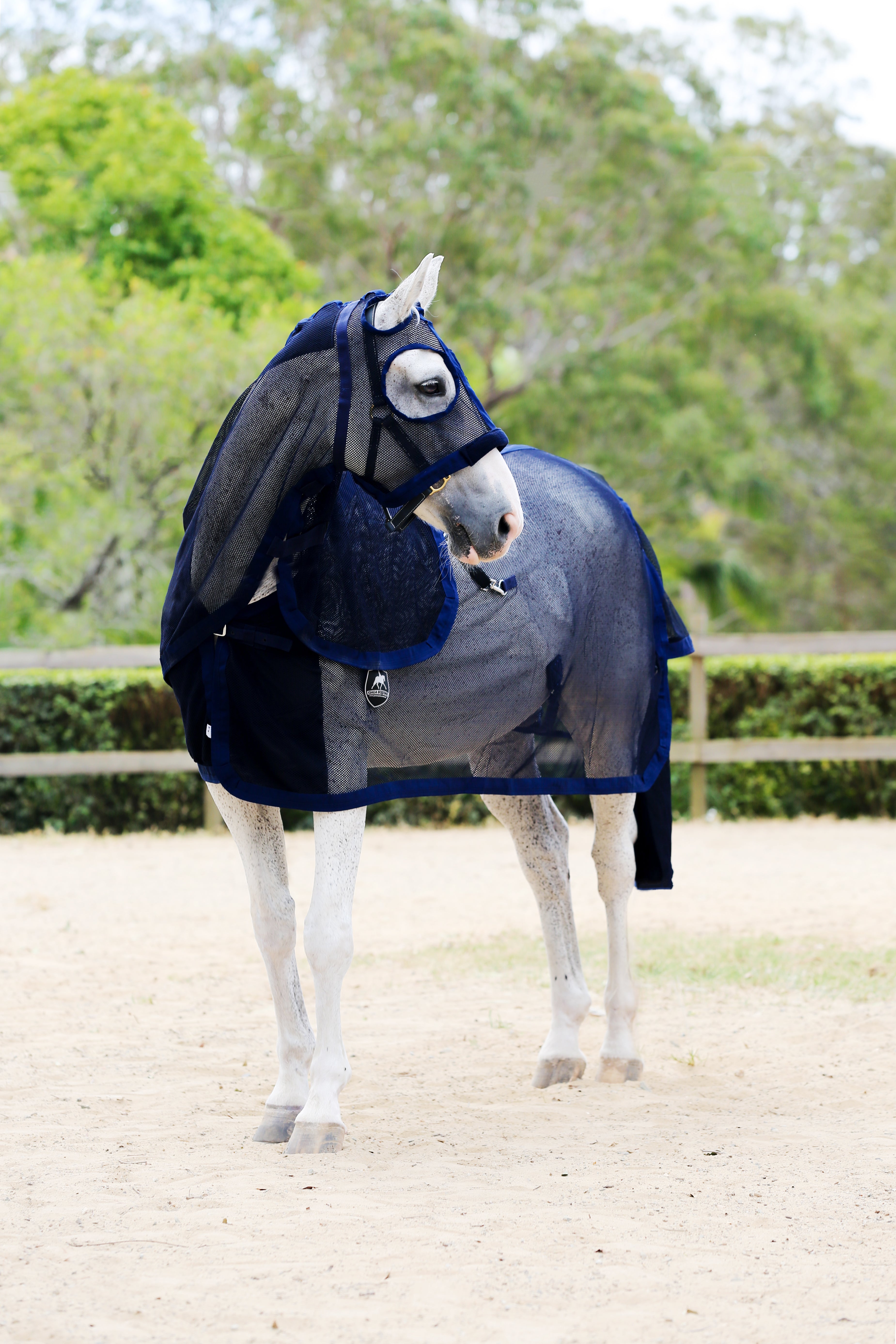 Summer Mesh Hood Set - Navy - CLEARANCE  - LAST SIZES