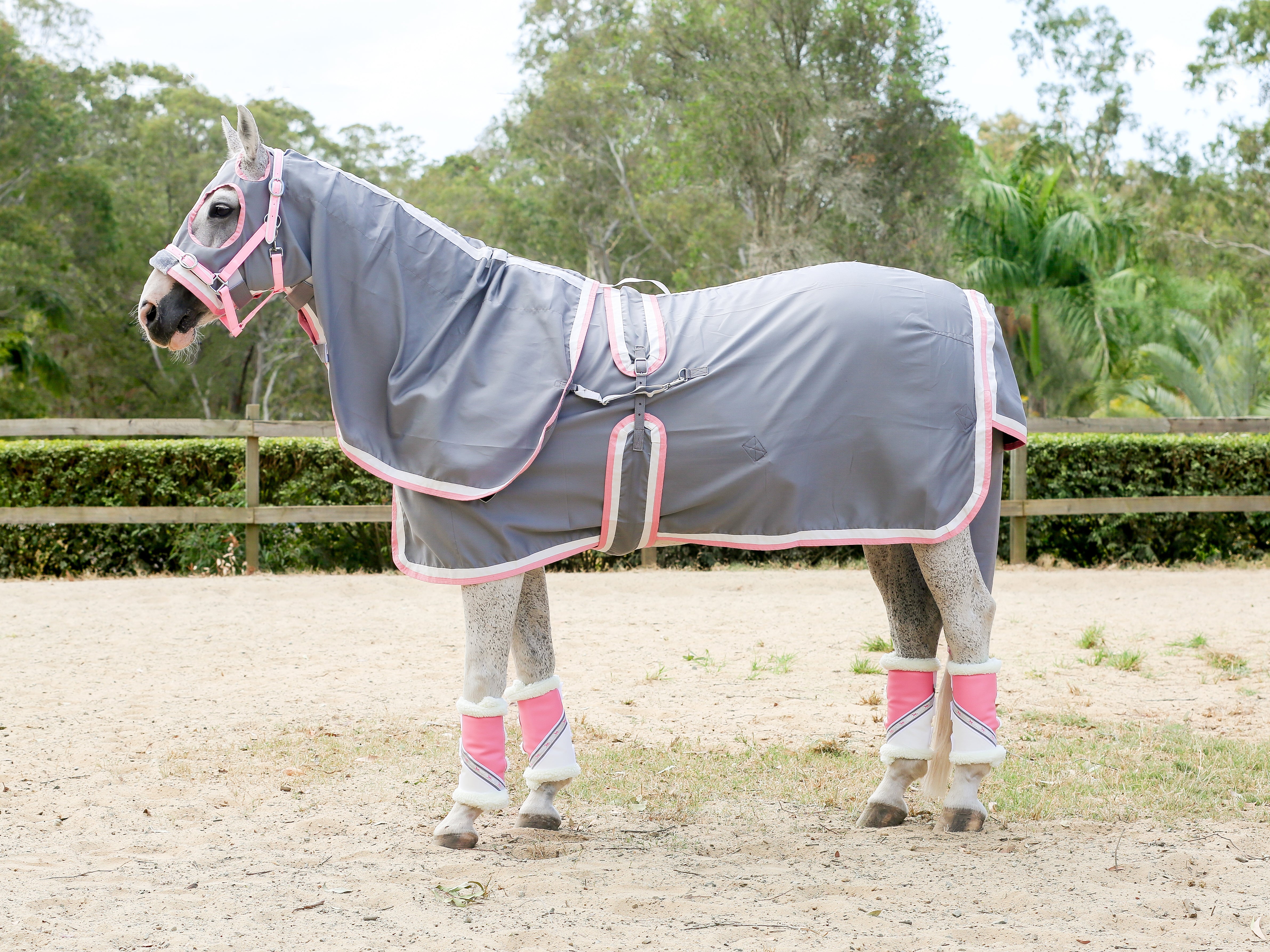 Charcoal Show Set with White & Pale Pink Trim