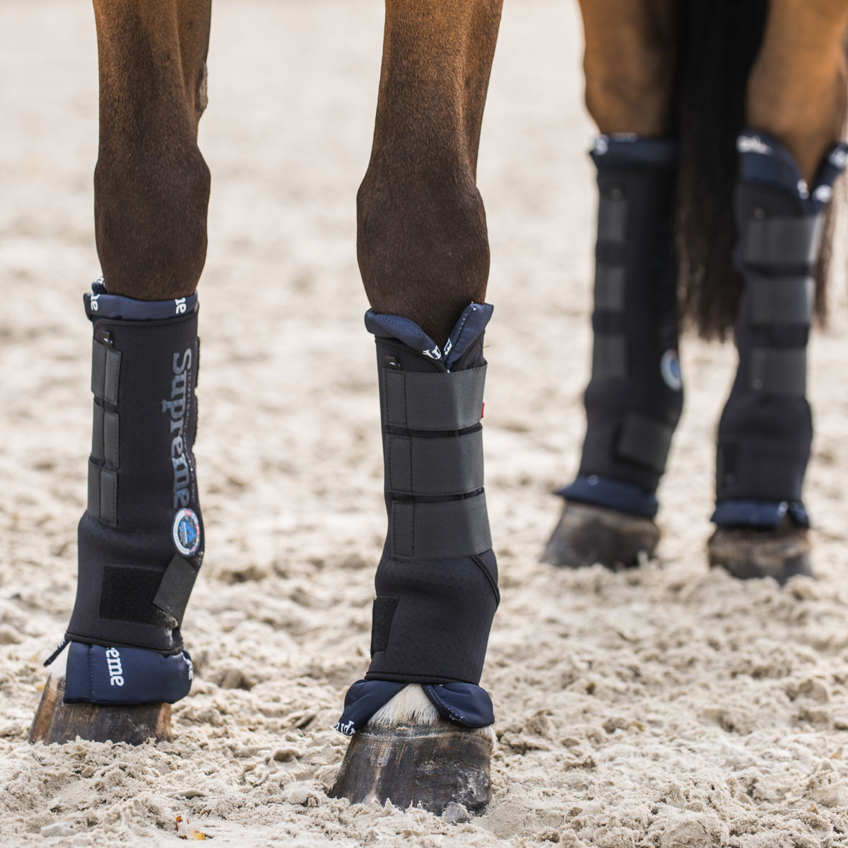 HZ Stable Boots - Front