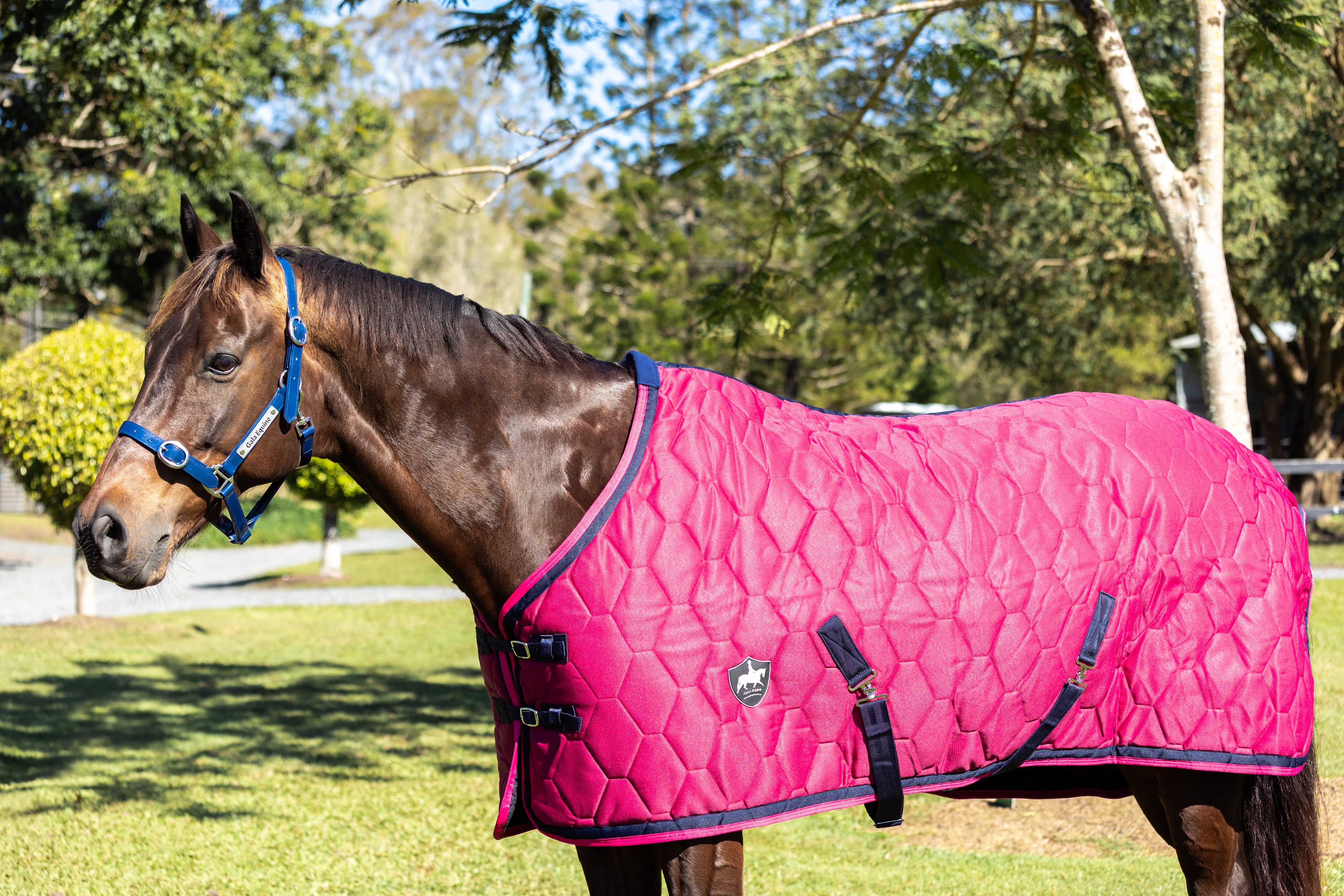 Luxury Stable Doona - Magenta Pink with Navy and Hot Pink Trims