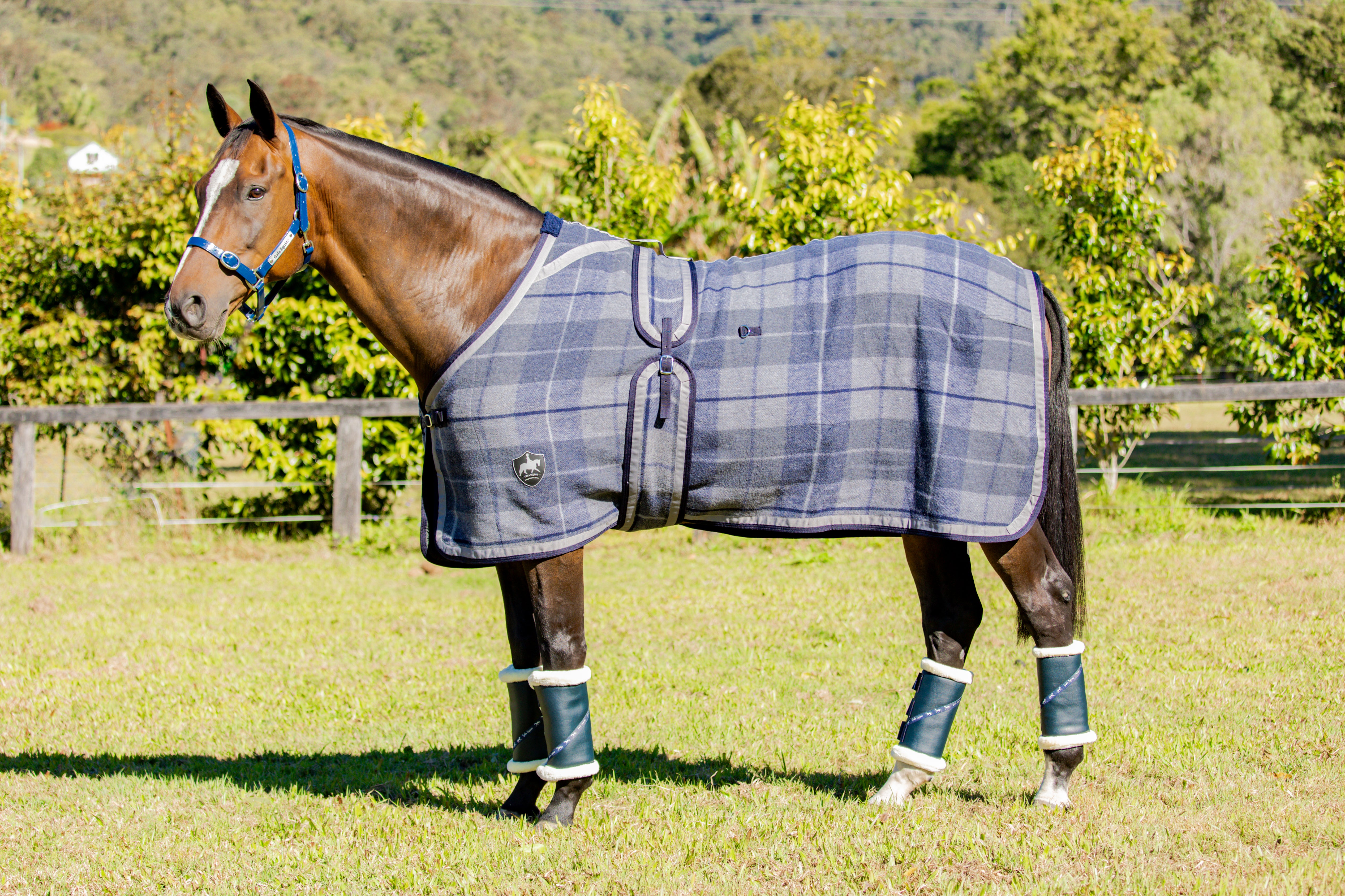 Navy and Grey Check Kersey Wool Rug NEW SEASON COLOUR