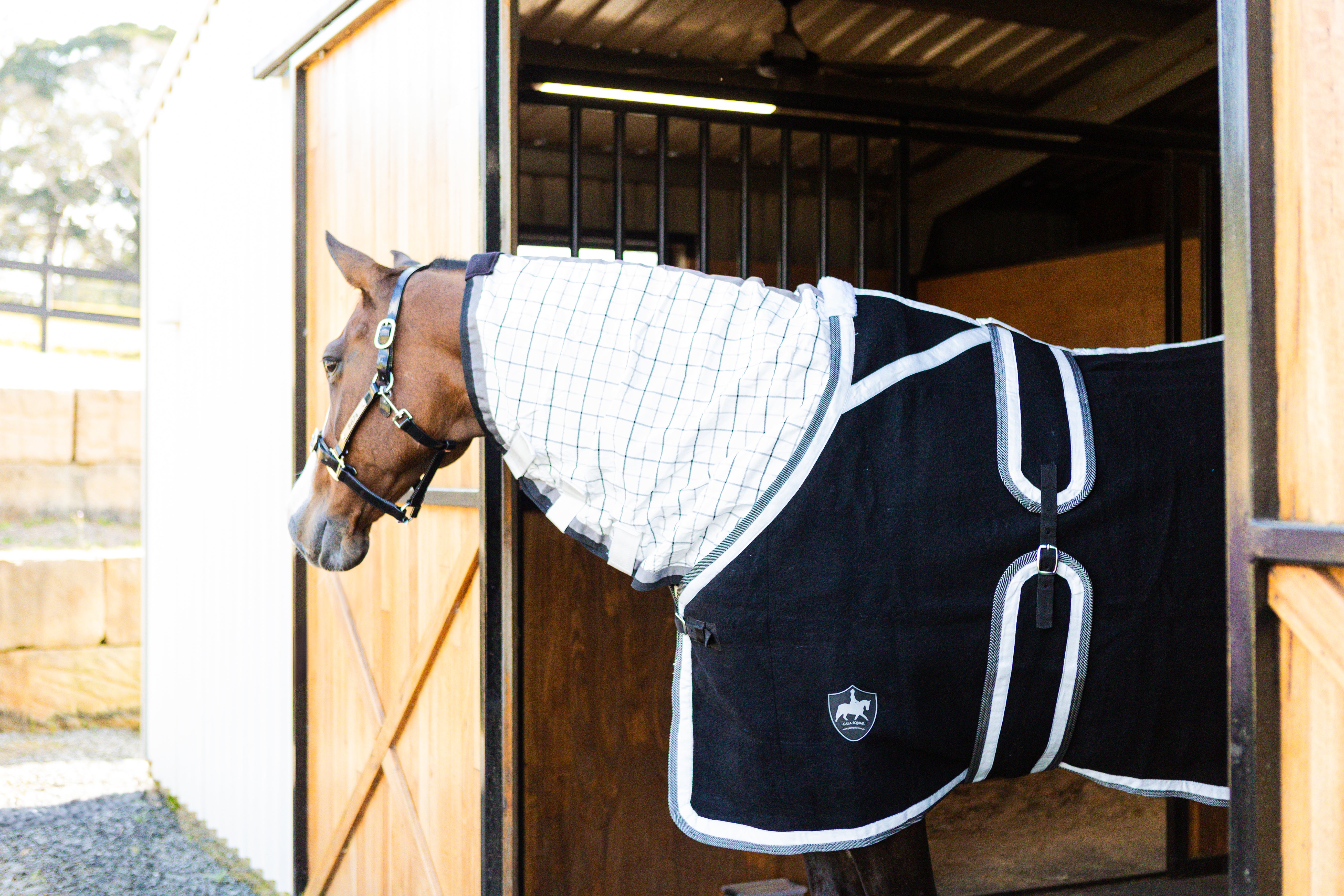 Black Kersey Wool Rug with White & Denim Trims