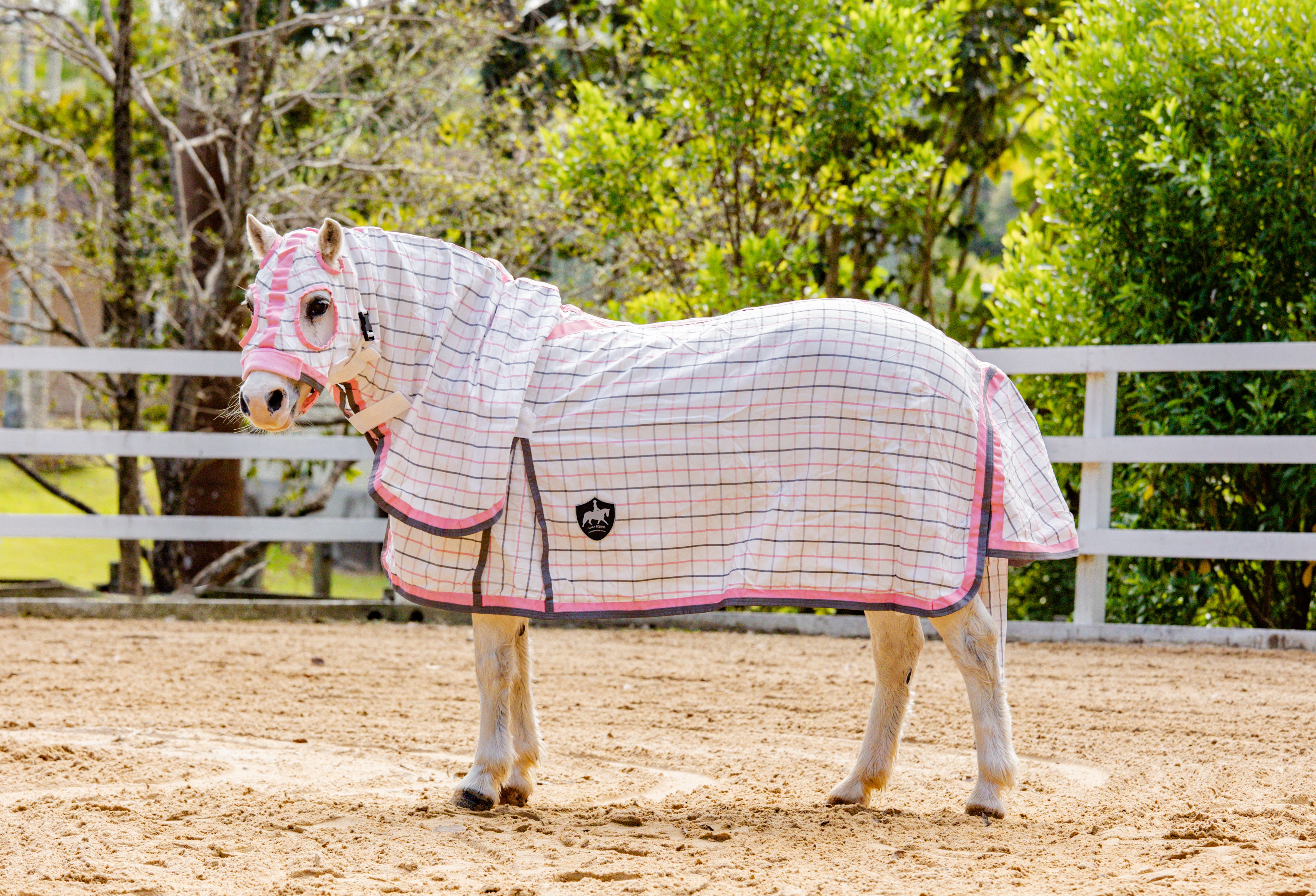 Classic Ripstop Hood Combo Blush Pink & Grey