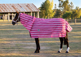 PVC Shade Mesh Combo - Pink Stripes