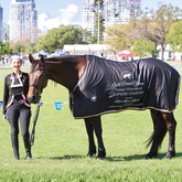 Black Show Rug with Metallic Rose Gold Trims
