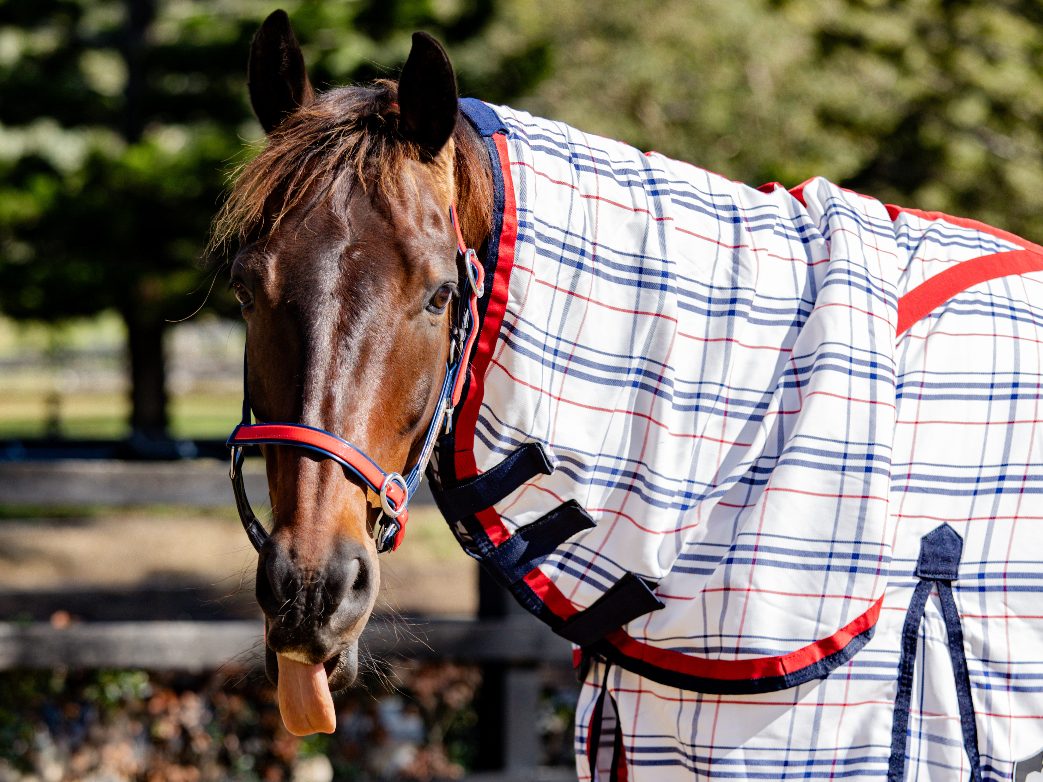 NEW Drill Neck Combo Red & Navy