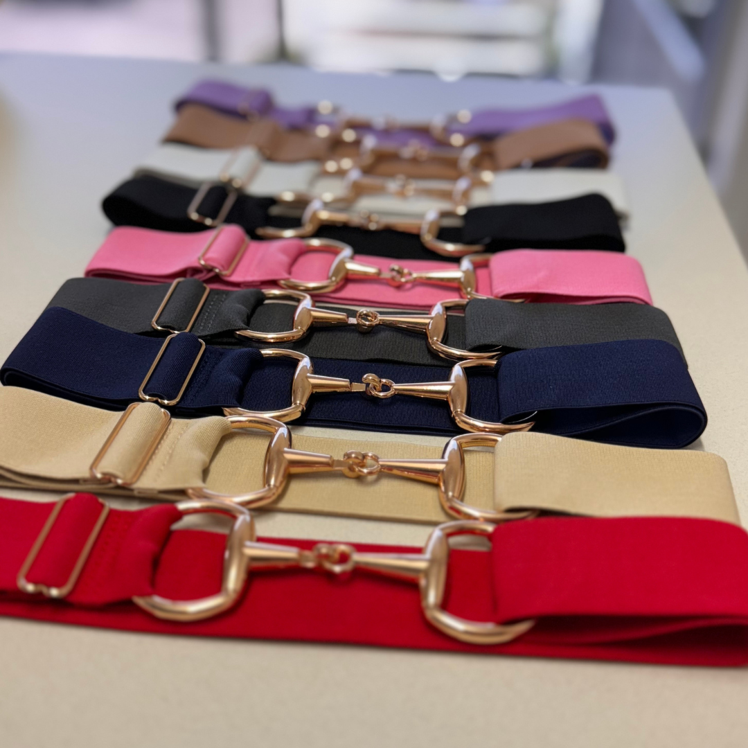 Elastic Horsey Bit Belts - Assorted Colours with Gold Colour bits