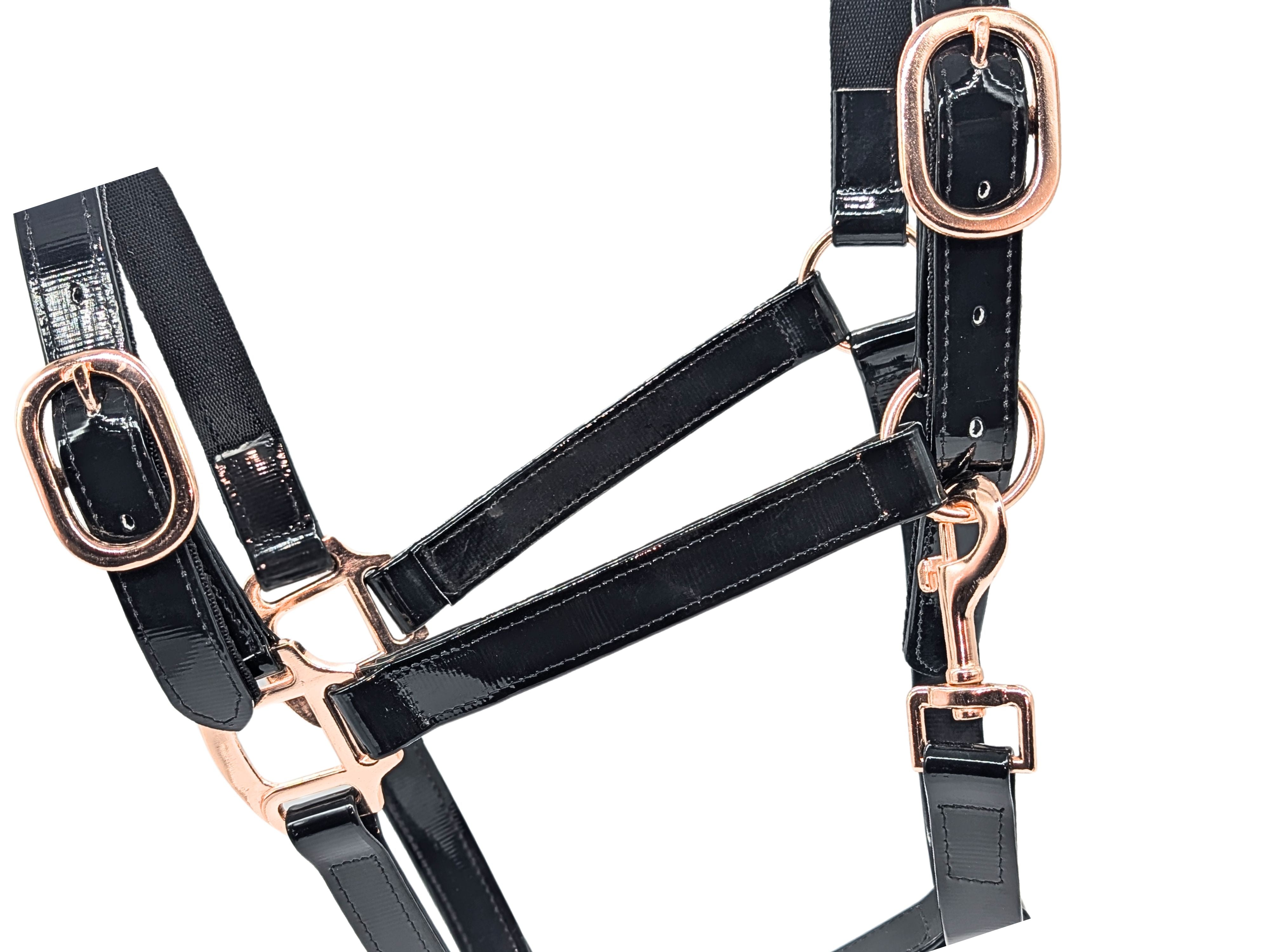 PVC Halter - Black with Rose Gold Buckles - NEW COLOUR!!