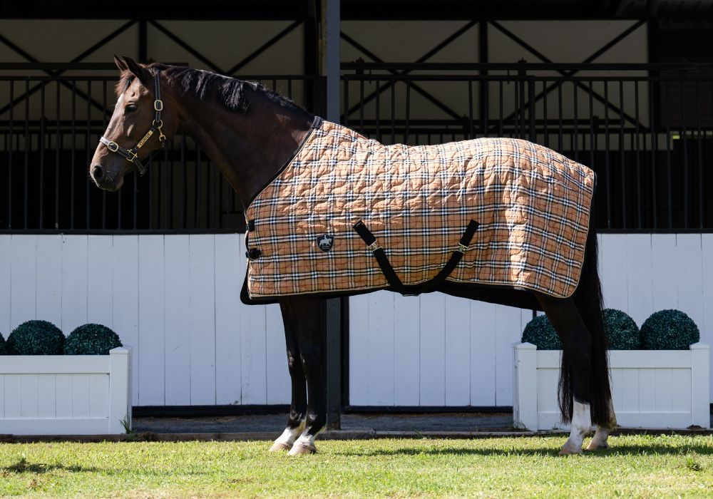 Gala Equine