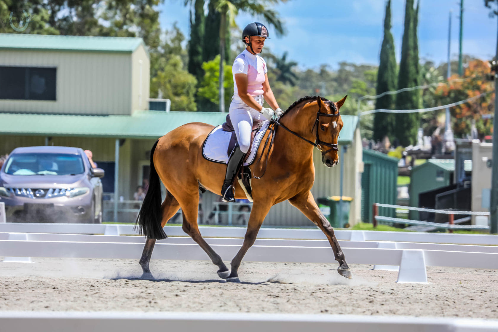 Competition White Dressage Saddle Pad - Navy Binding  LOW STOCK....LAST FEW LEFT!!