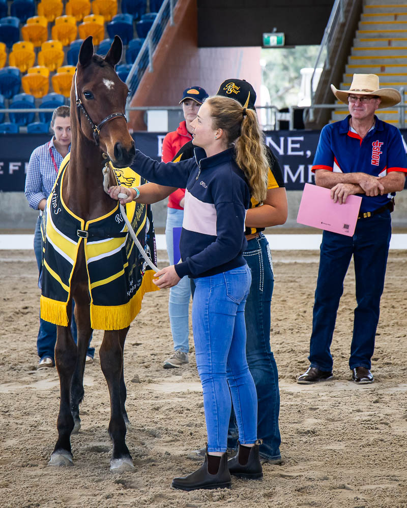 Printed Prize Rug