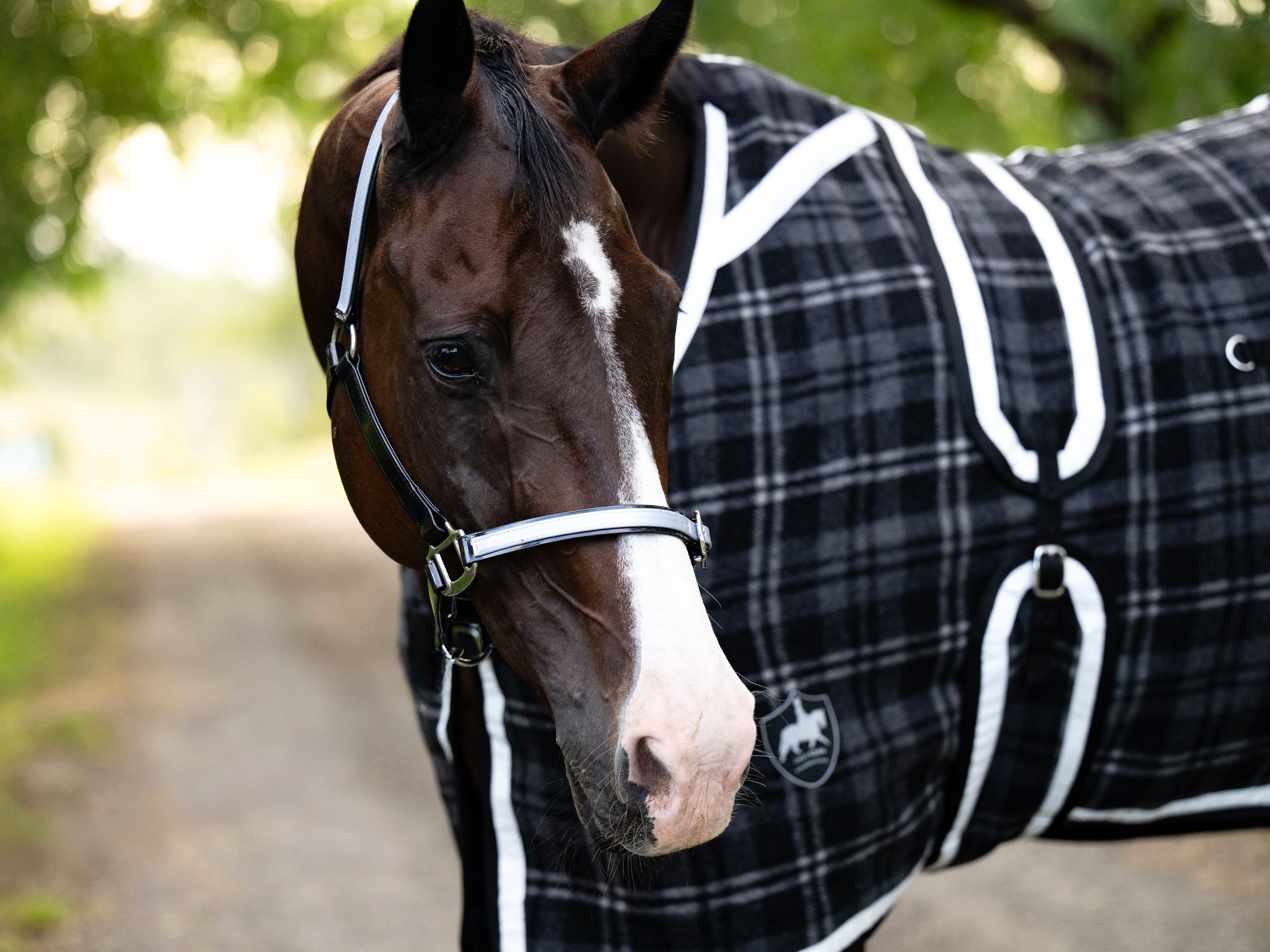 Black Check Kersey Wool Hood - White & Black Trims