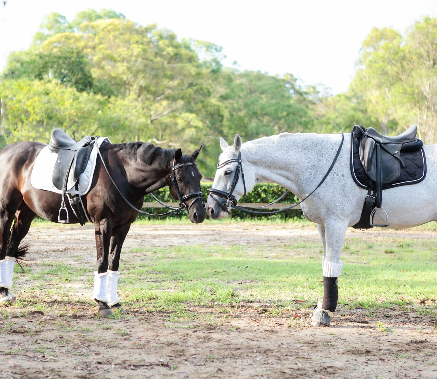 Elegant Black Satin Dressage Saddle Pad - CLEARANCE $39.95 each