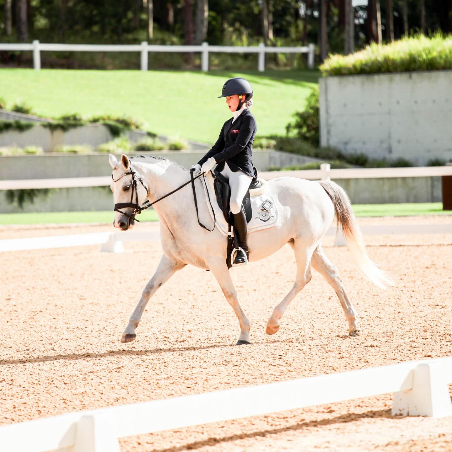 Elegant White Satin Dressage Saddle Pad - CLEARANCE $39.95 each