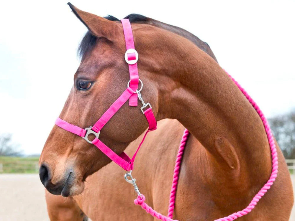 Basic Halter - Pink