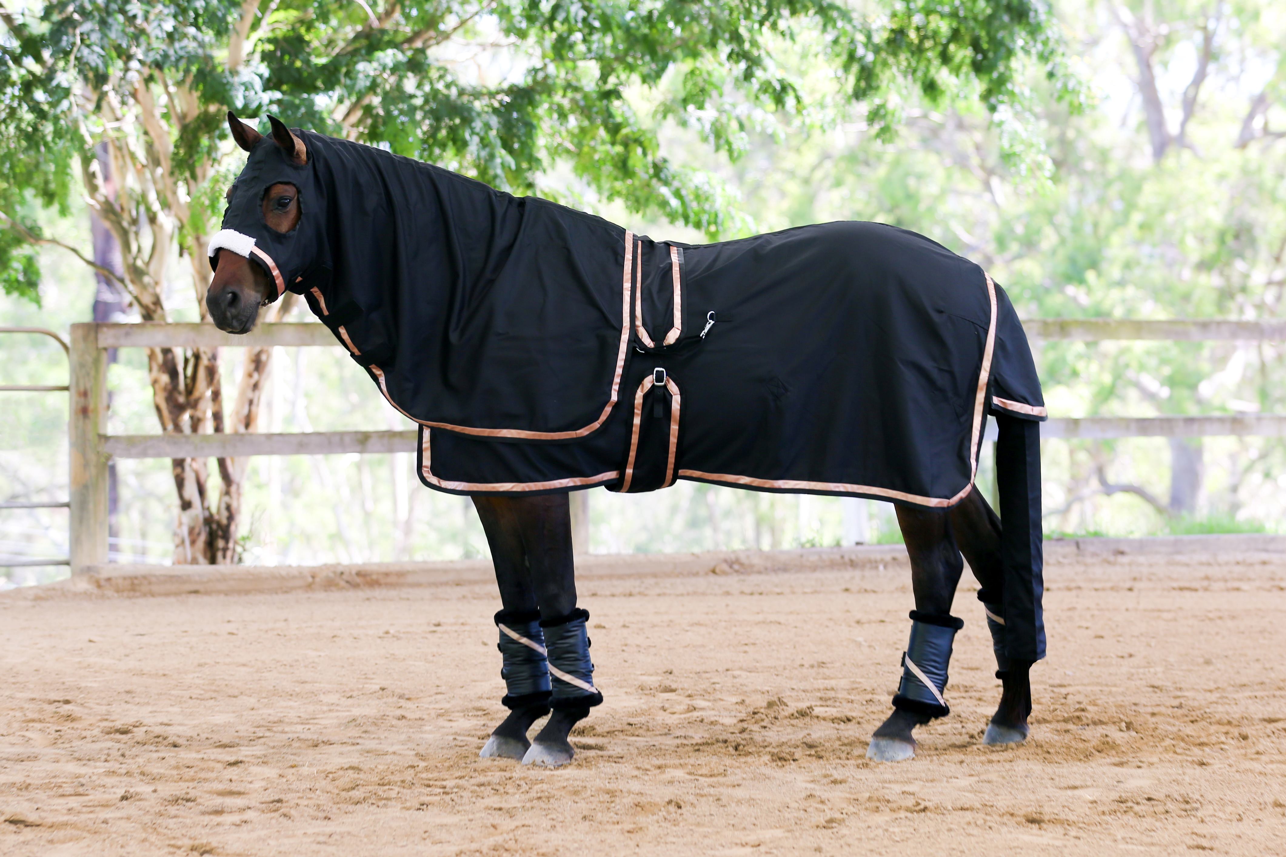 Black Show Rug with Metallic Rose Gold Trims