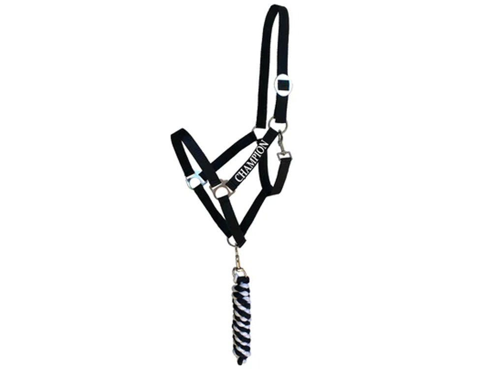 Halter & Lead Rope Trophy Set Black