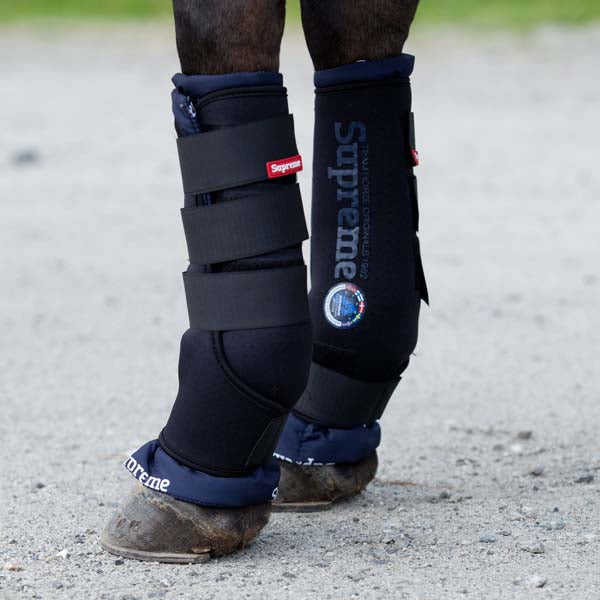 HZ Stable Boots - Back