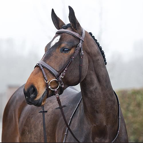 HORZE VENICE SNAFFLE BRIDLE WITH REINS - Dark Brown