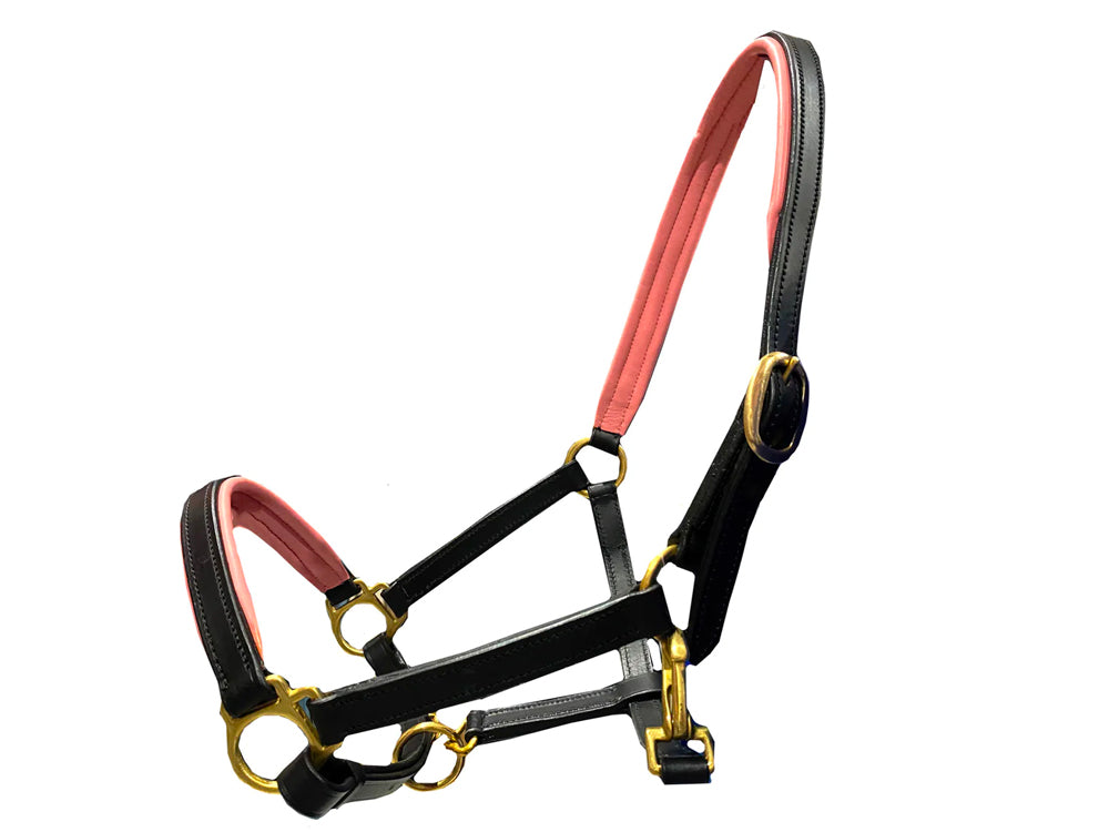 Black and Pink Leather Halter with Brass Fittings - S/Pony & Pony left in stock!!