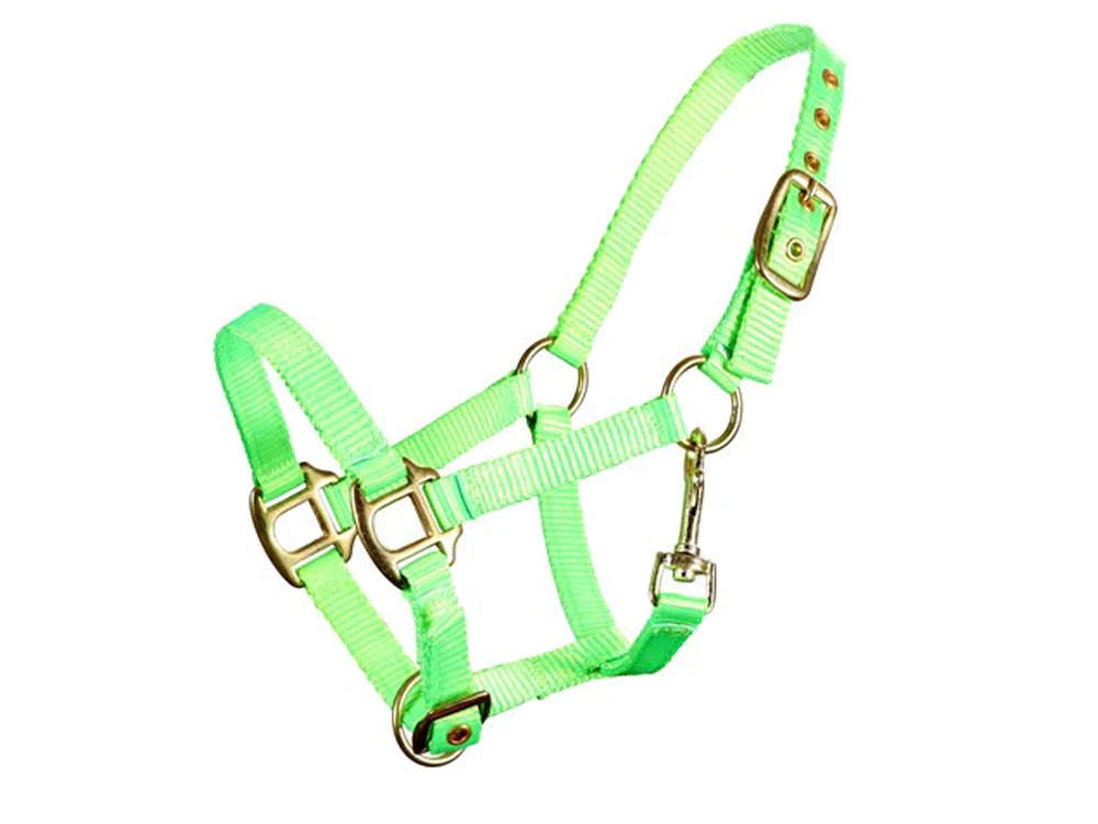 Miniature Horse Premium Nylon Halter - Fluro Green