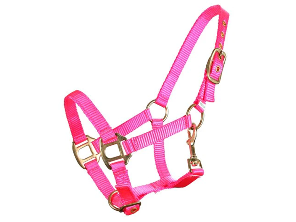 Miniature Horse Premium Nylon Halter - Fluro Pink