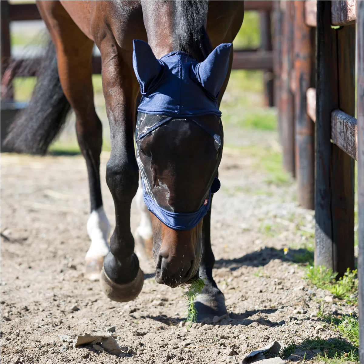 HZ Supreme Cayman Fly Mask