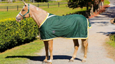 Bottle Green Show Rug only with Gold & White Trim