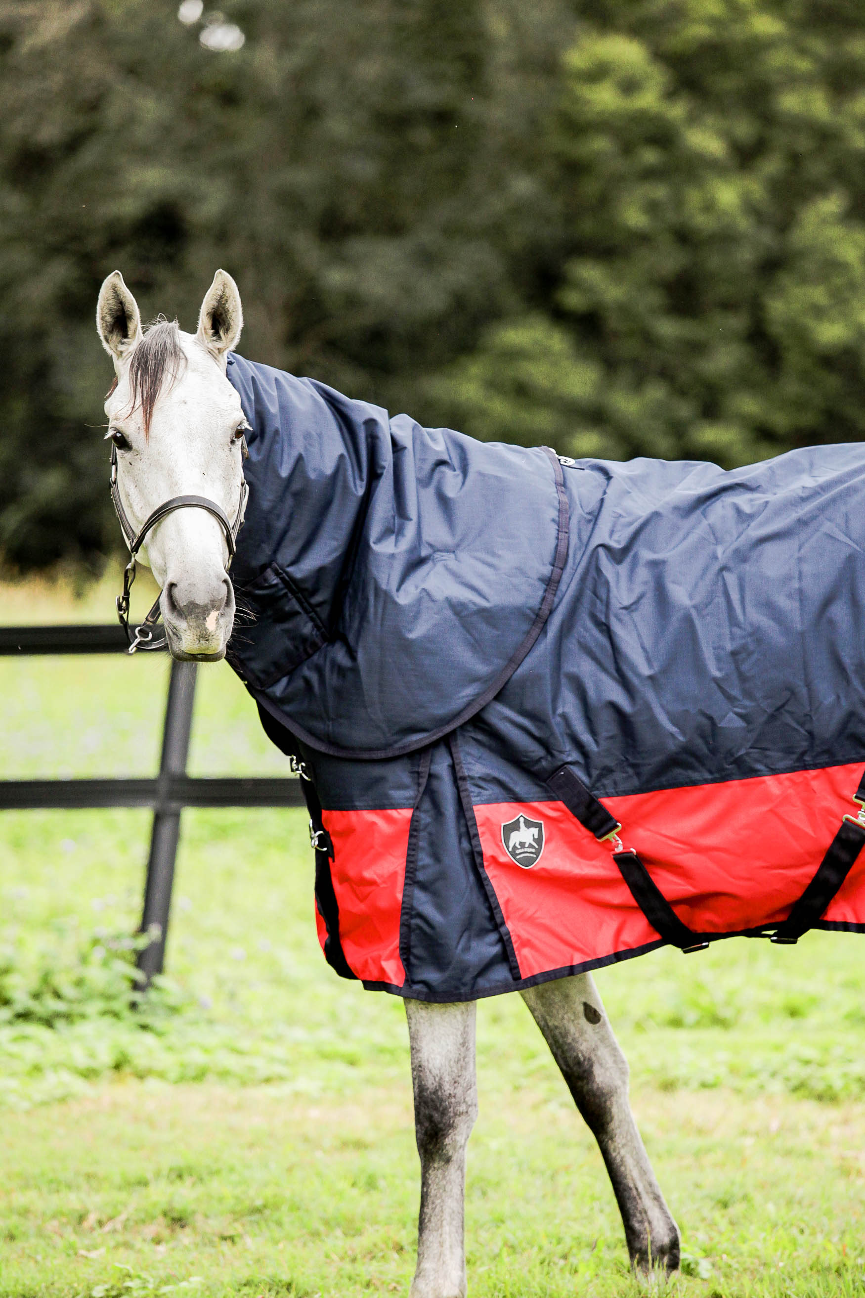 600D Turnout 300g Fill - Navy with Red & Detachable Neck Combo
