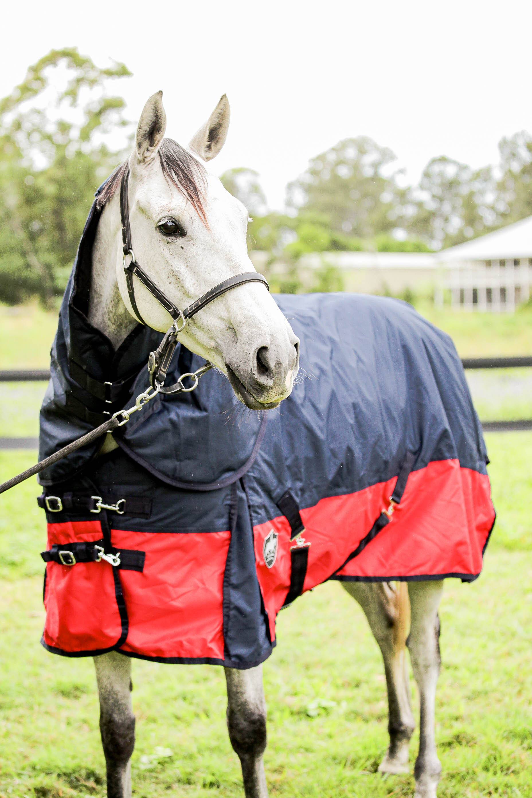 600D Turnout 300g Fill - Navy with Red & Detachable Neck Combo