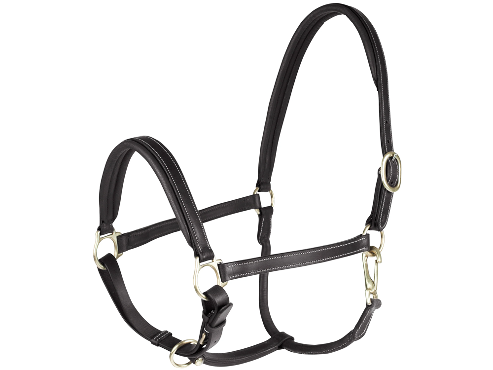 Largo Leather Halter - Black