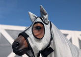ALL NEW ULTIMATE BUG HOOD COMBO - White Gallop Mesh - DUE FIRST WEEK JANUARY 2026