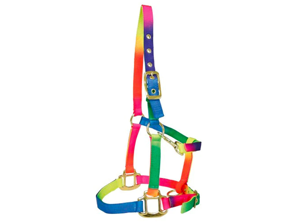 Bambino Rainbow Halter