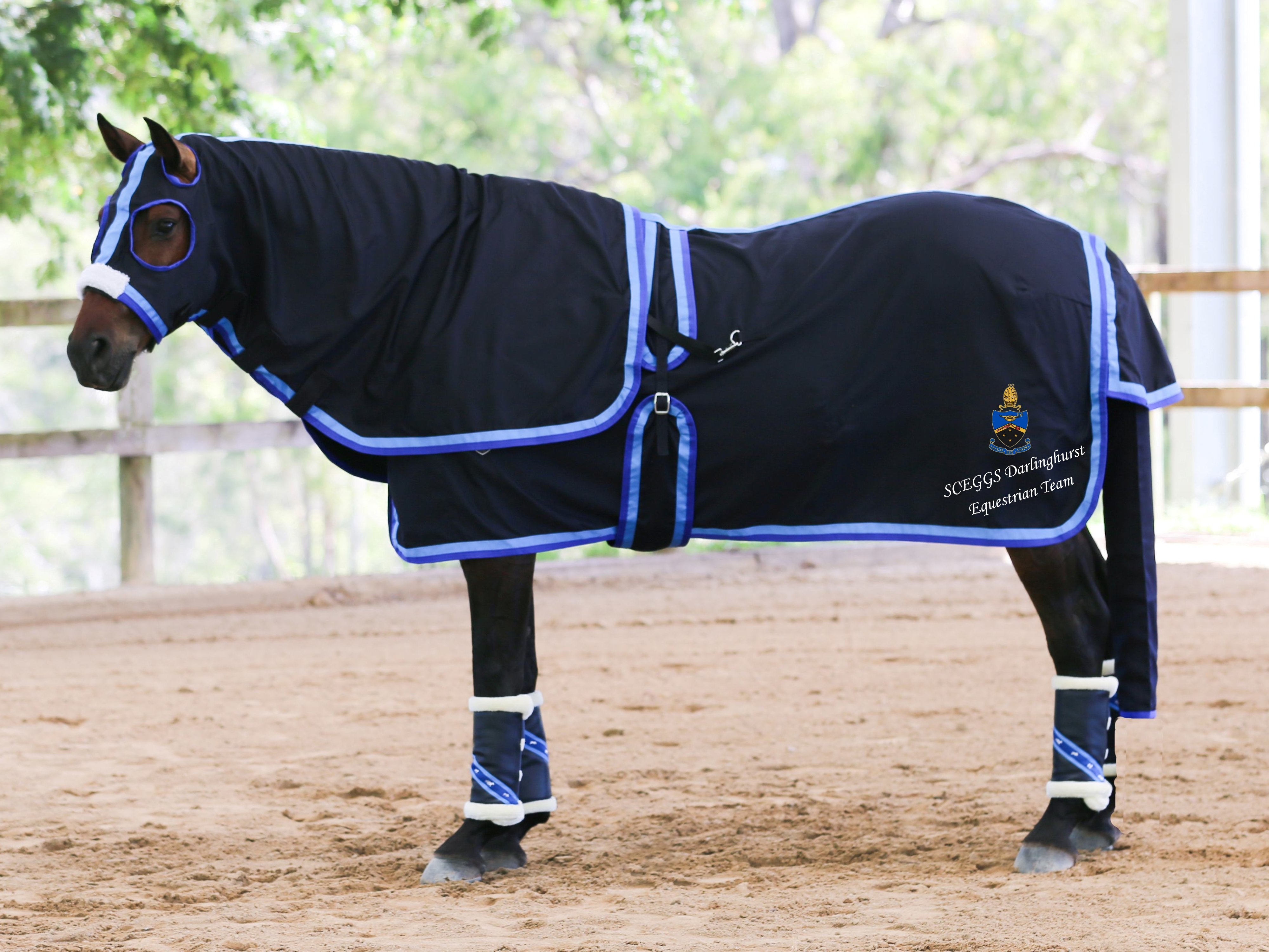 SCEGGS Navy Show Set + Surcingle with Sky & Royal Blue Trim