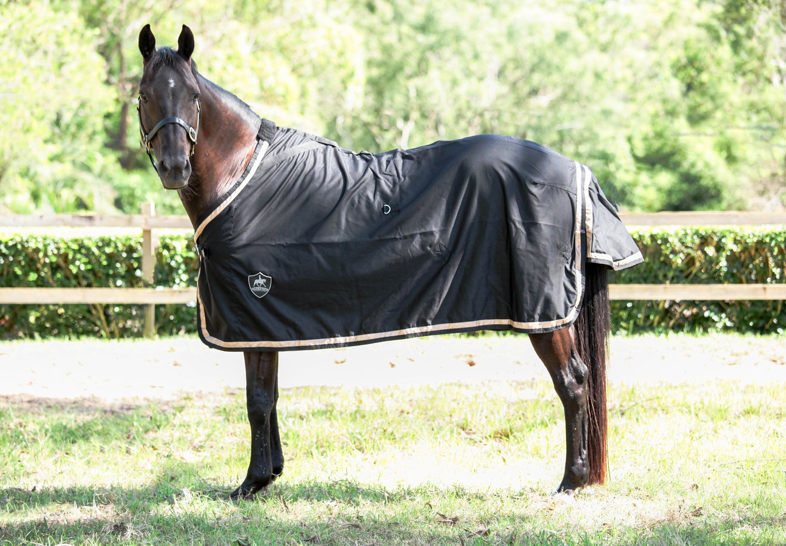 Black Show Rug with Metallic Rose Gold Trims