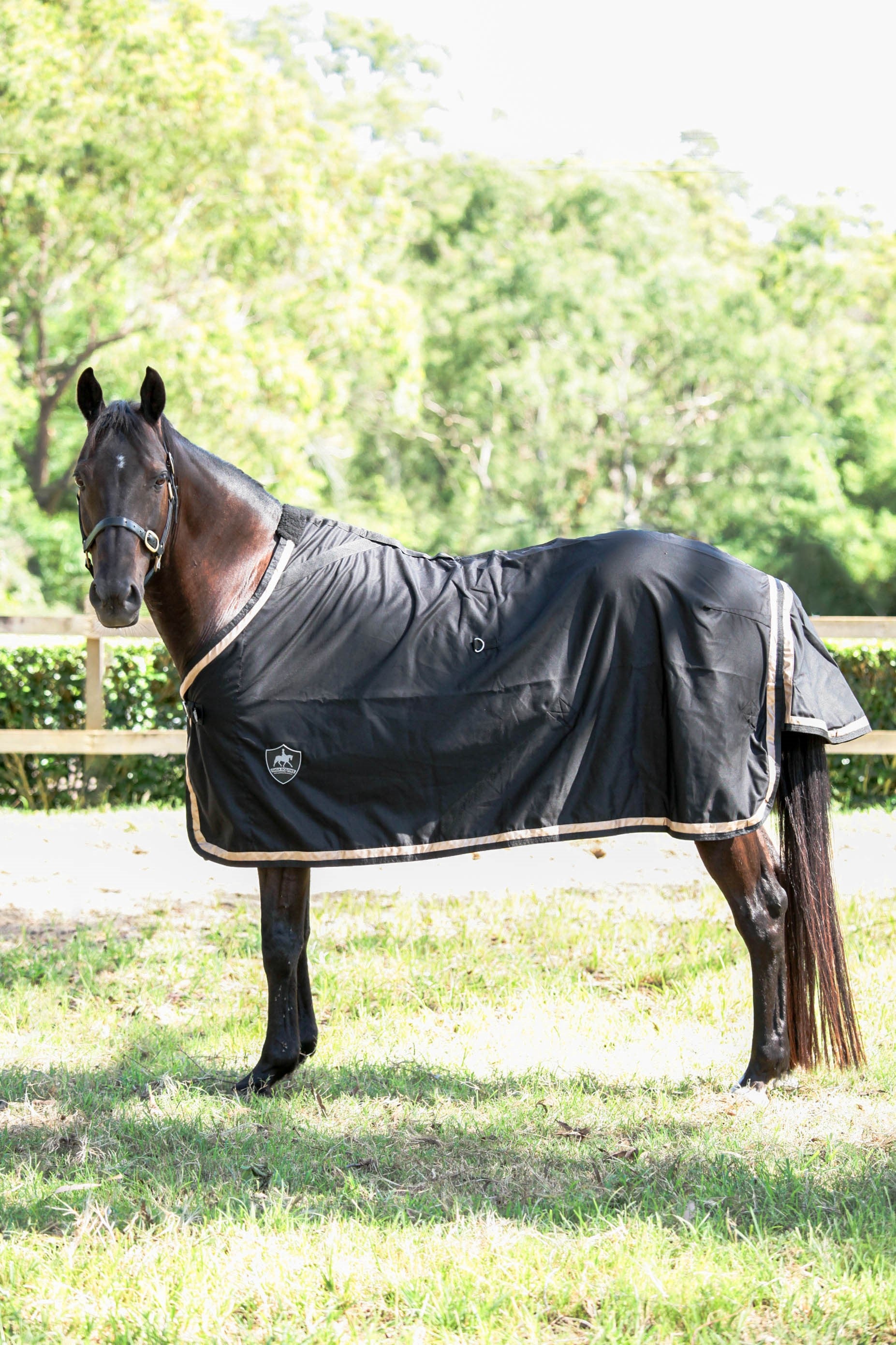 Black Show Rug with Metallic Rose Gold Trims