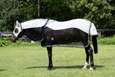 Horse wearing Gala Equine Hybrid Signature Ripstop Black and Platinum Hood Combo with summer mesh and ears