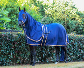 Navy Show Set + Surcingle with Metallic Rose Gold Trim