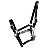 PVC Halter - Black with Chrome Buckles