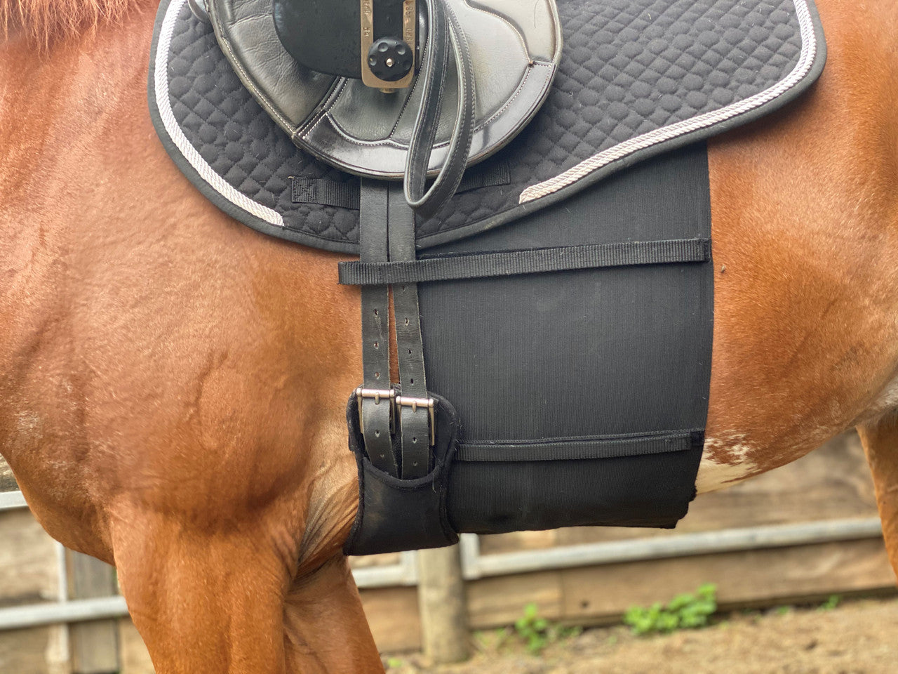 Belly Guard - Spur Guard - Fine skin horses, this will protect their sides while riding in spurs
