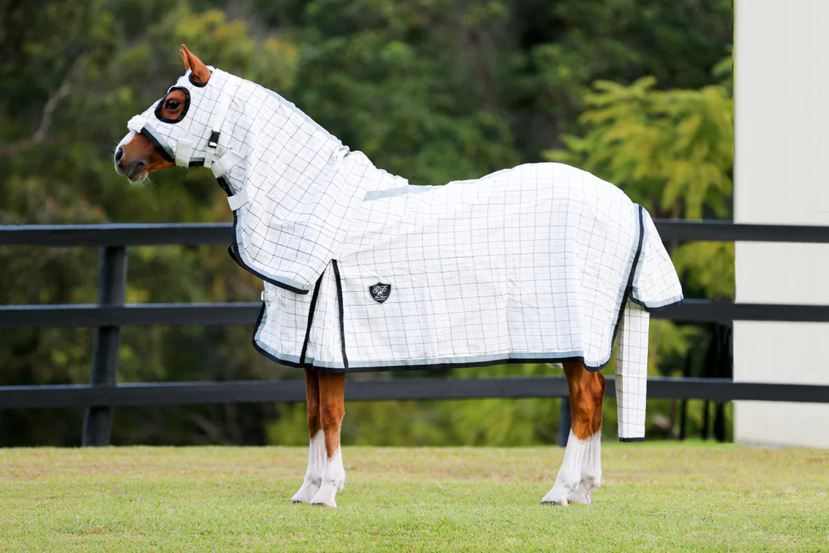 Horse wearing a flag rug